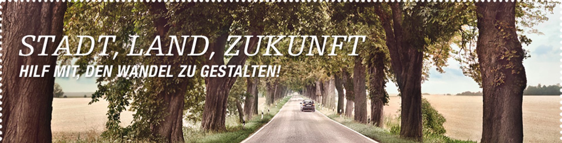 Allee auf dem land