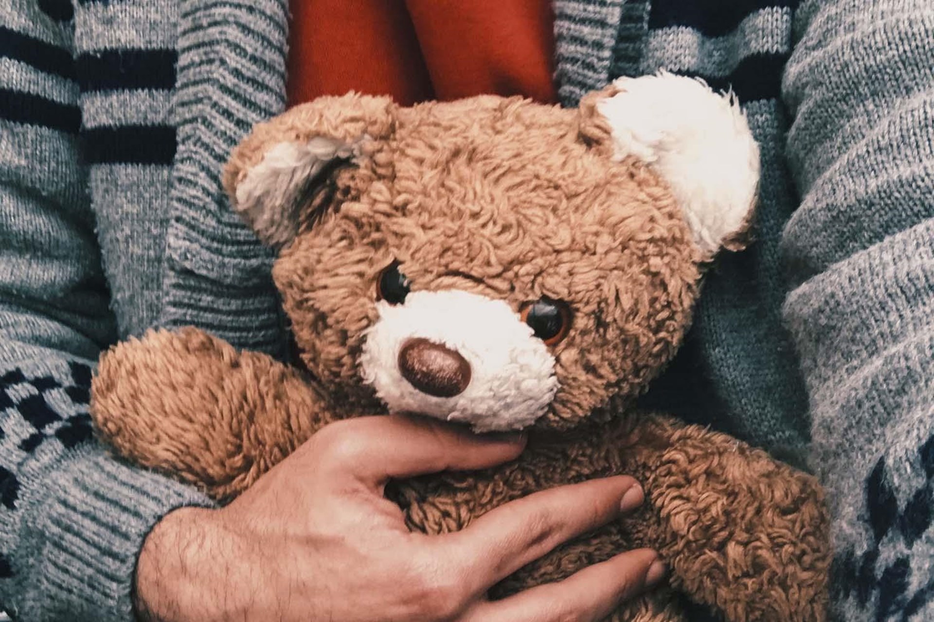 Eine behaarte Hand hält einen Teddybären.