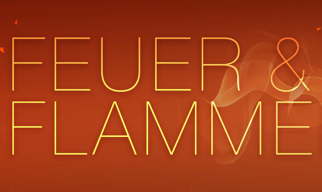 Partnervermittlung feuer und flamme