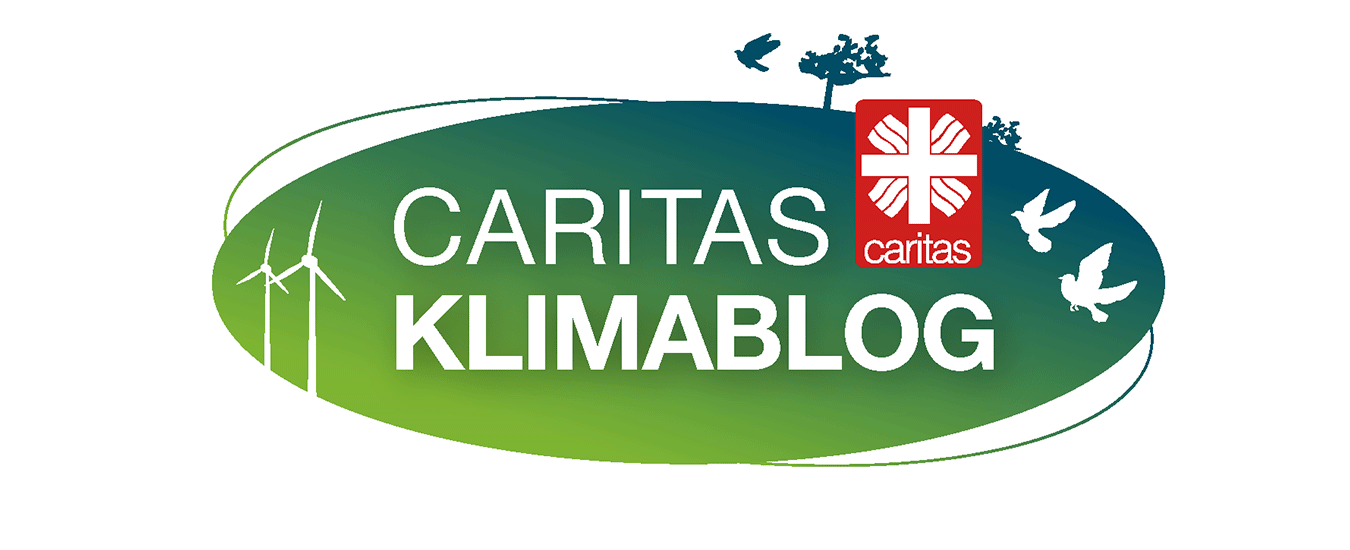 Zum Klima-Blog der Caritas