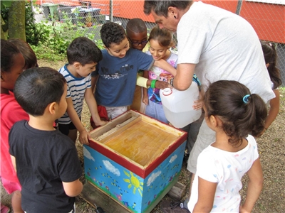 Kinder bestaunen einen Brutkasten für Bienen in einer Kita.