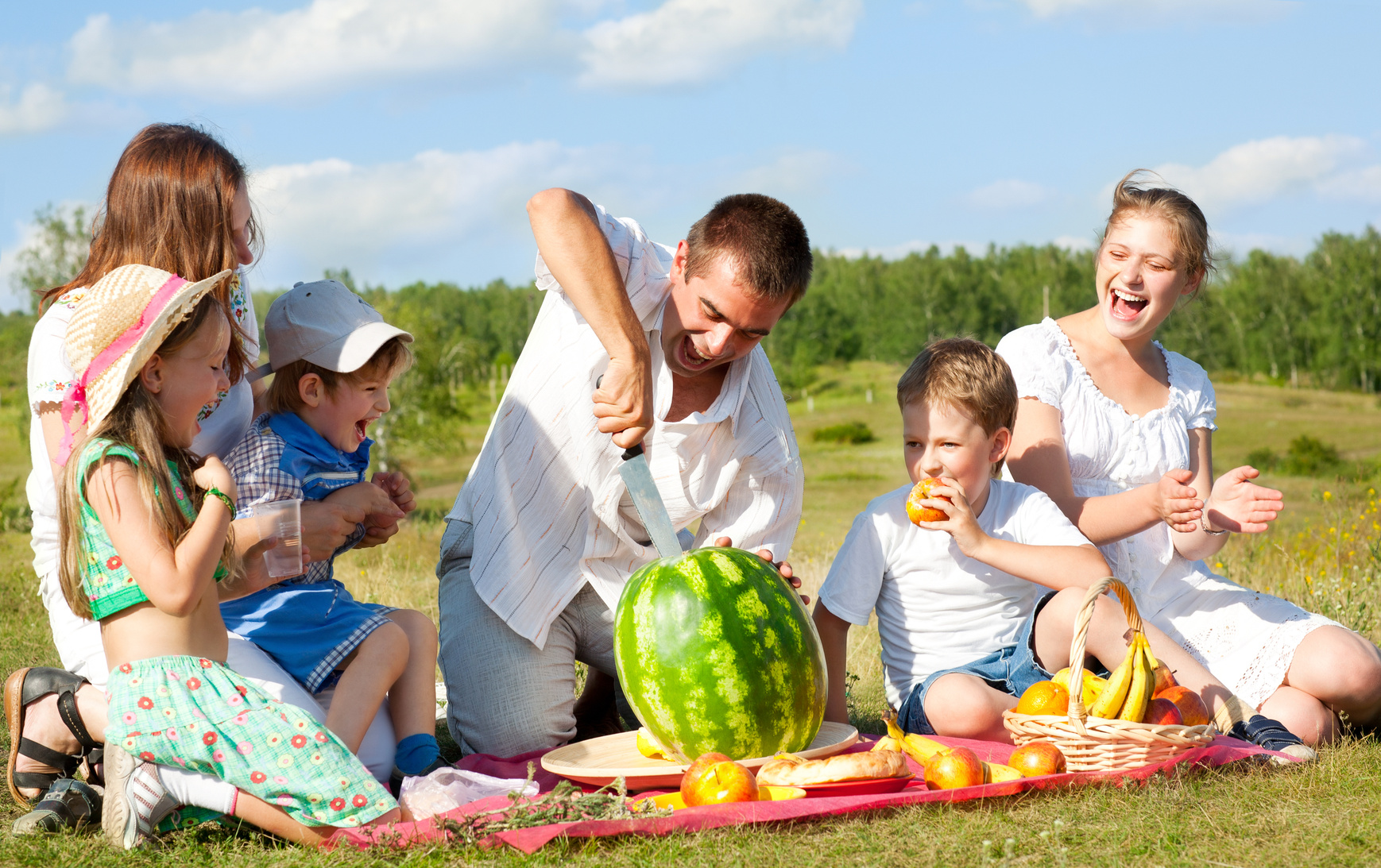 Организация отдыха и развлечений. Семья на пикнике. Семейный пикник на природе. Дети и природа. Лето природа.
